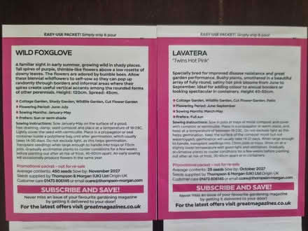 Photo of free Pink flower seeds (Abingdon Oxfordshire OX14) #2