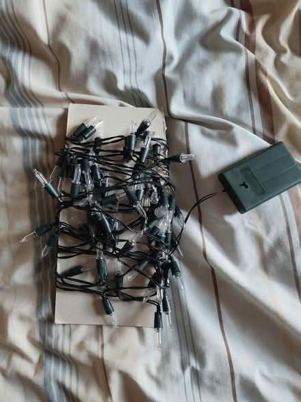 Photo of free Coloured Tree lights (TN39 4AB) #1