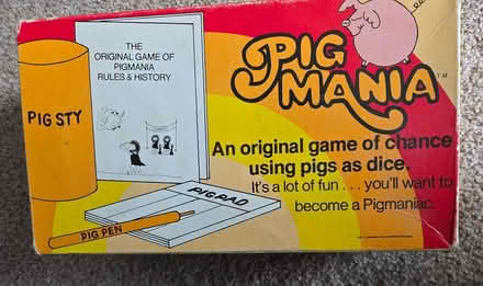 Photo of free Pig Mania game (Tigard) #1