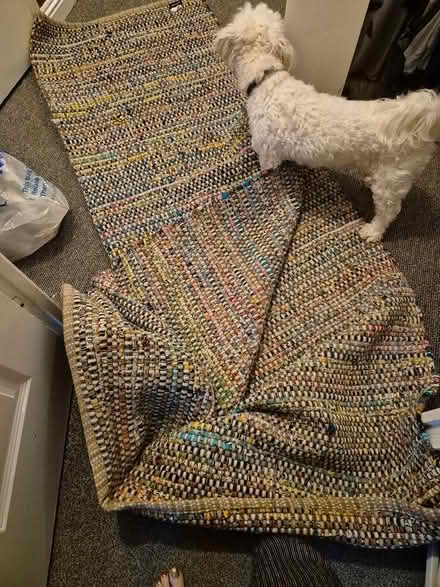 Photo of free Habitat rug (Rm3 0gd) #3