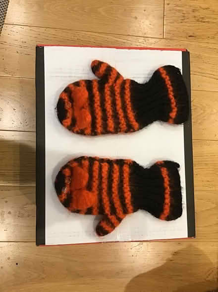 Photo of free children's mittens, hats, scarves (Cookham SL6) #4