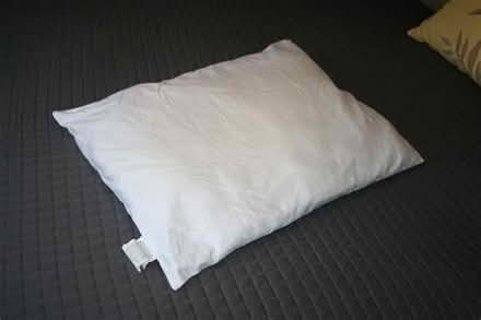 Photo of free Old pillows, at least four (Cholsey/Wallingford OX10) #1