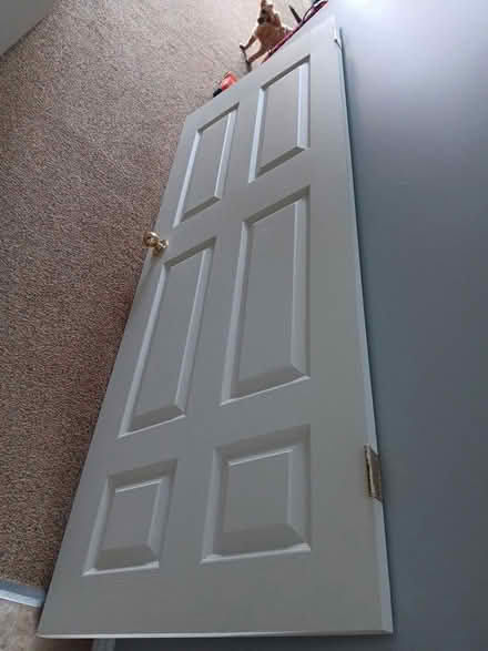Photo of free Interior door (Imperial and Willow area) #1