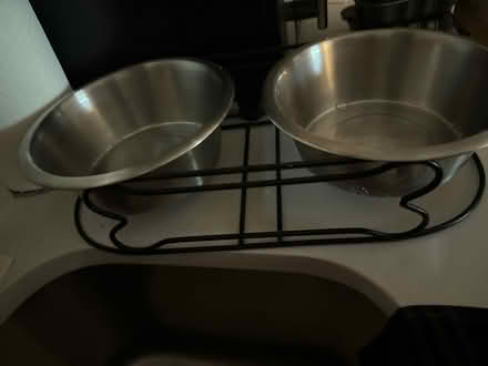 Photo of free Dog supplies (Southwest DC-Navy Yard) #3