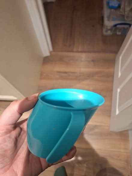 Photo of free Doidy cup (Moorfields) #2