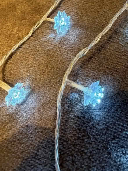 Photo of free Christmas Tree Lights (SW4) #2