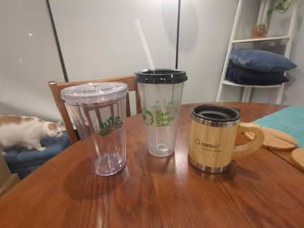 Photo of free To-go Cups (N Harlem and W Waveland Ave) #1