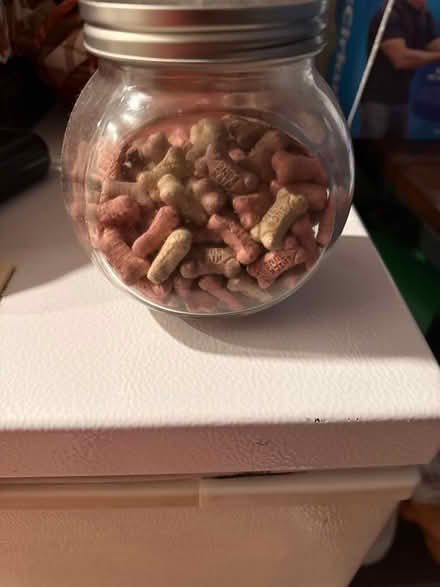 Photo of free Dog supplies (Southwest DC-Navy Yard) #2