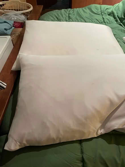 Photo of free Feather pillows (Willow Glen - Dry Creek) #1