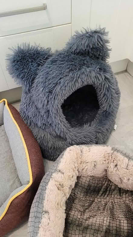 Photo of free Cat beds (Turves Green B31) #3