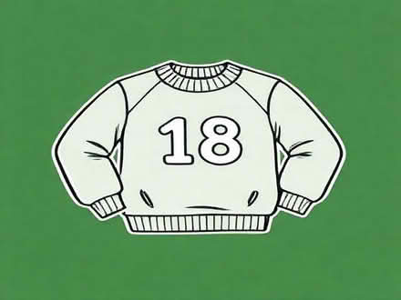 Photo of free sweaters size 18 (Manafon SY16) #1