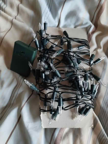 Photo of free Coloured Tree lights (TN39 4AB) #2