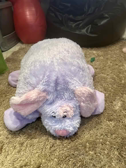 Photo of free Pillow pet toy/cushion (Peachcroft OX14) #2