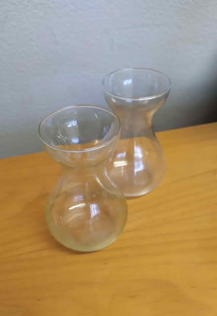 Photo of free Two hyacinth vases (West Bowling BD5) #2
