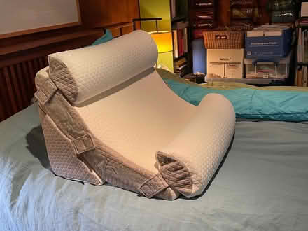 Photo of free Back pillow (Willow Glen - Dry Creek) #2