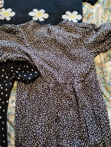 Photo of free Assorted women's clothes (Chelmer Village CM2) #4