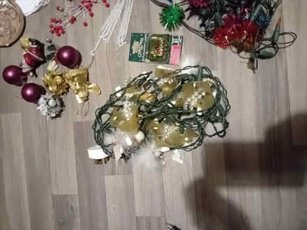 Photo of free Christmas decorations (Swanshurst B13) #2