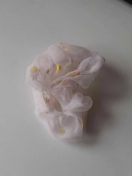 Photo of free Scrunchie (Marston, Oxford OX3) #1