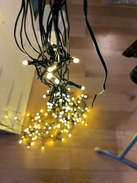 Photo of free Christmas tree lights (Sydenham SE26) #1