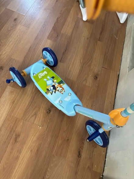 Photo of free Bluey scooter (Chatham) #3