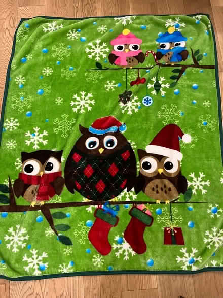 Photo of free Fleece blanket (Hintonburg) #1