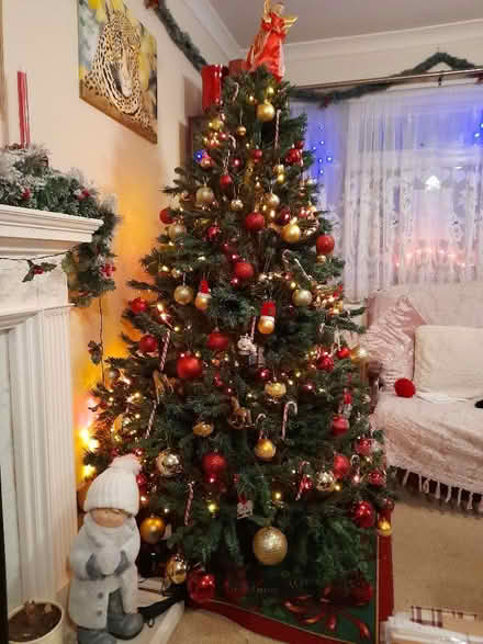 Photo of free 6ft artificial Christmas tree (Norcot RG30) #1