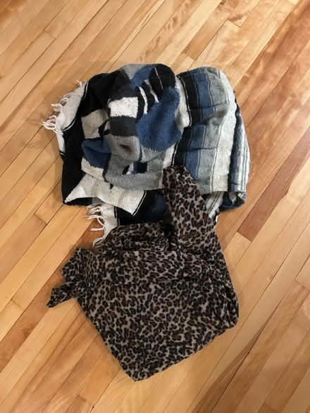 Photo of free Pet blankets (Arlington) #1