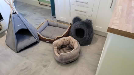 Photo of free Cat beds (Turves Green B31) #1