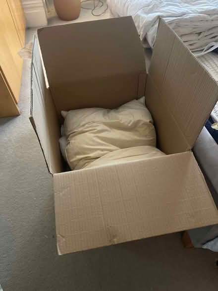 Photo of free Single Duvet Pillows and Bedding (KT10) #1