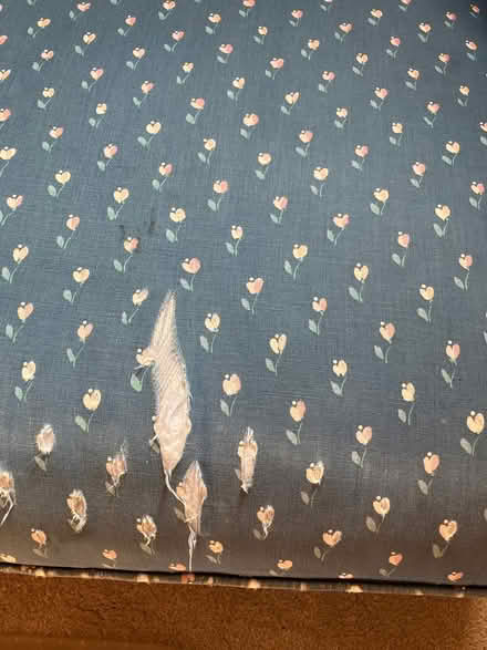 Photo of free chair (State and Textile) #4