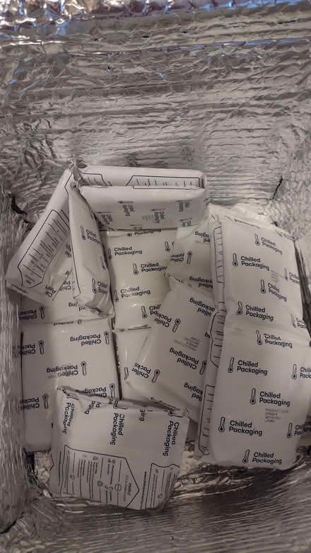 Photo of free Freezer blocks (Chippenham SN14) #1