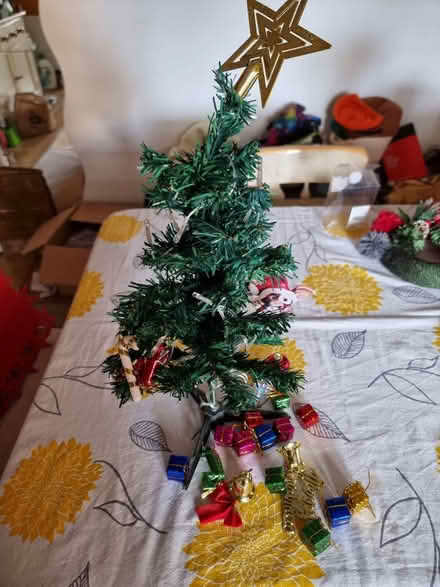 Photo of free Small Xmas Tree (Braintree, CM7) #1