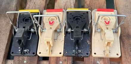 Photo of free 4 x Mouse Trap (Cutteslowe OX2) #1