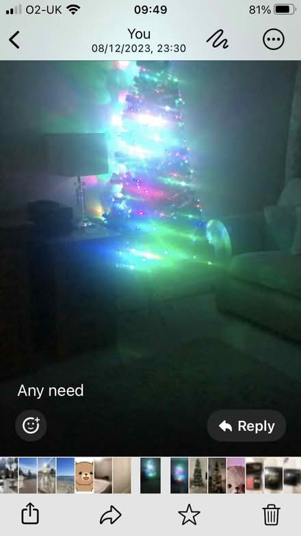 Photo of free Xmas Tree (Wrexham) #1