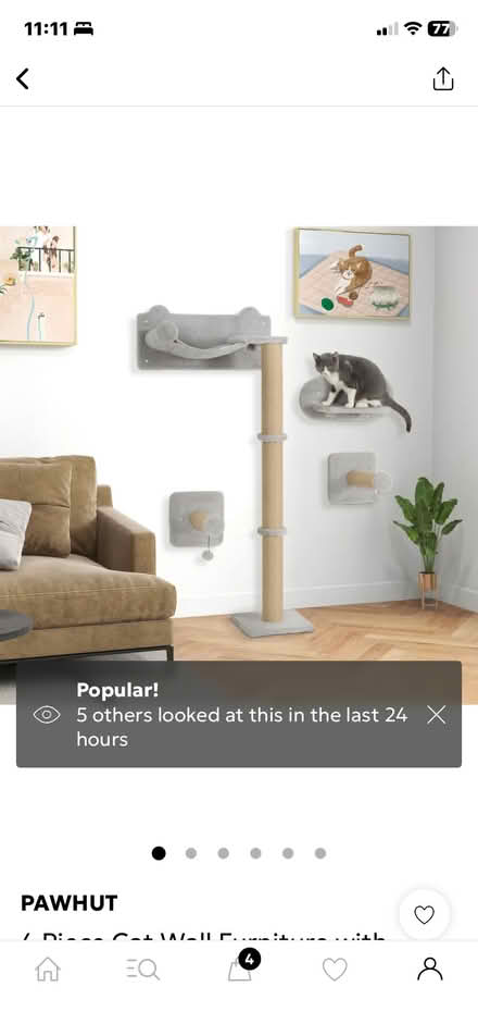 Photo of free Catification brand new (Abbeymead Gloucester) #2