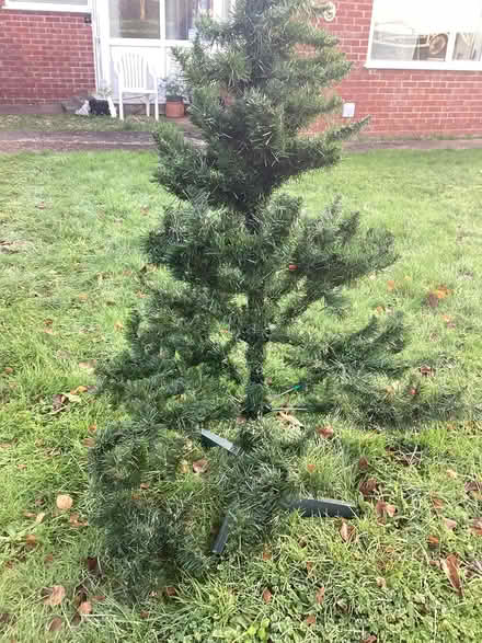 Photo of free Plastic Christmas tree (Minehead West Park) #1