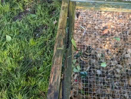 Photo of free Guinea pig hutch with run (Plymtree, Norman's Green End) #3