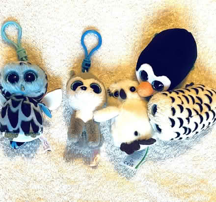 Photo of free small plush toys (Torrisholme LA4) #1