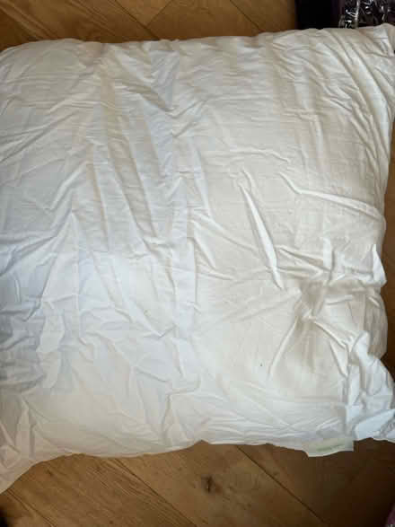 Photo of free Ikea Large Cushion Pad (Sydenham SE26) #2
