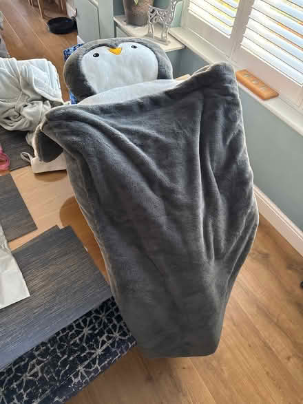 Photo of free Kids Penguin Sleeping Bag/Blanket (Staines-upon-Thames TW18) #1