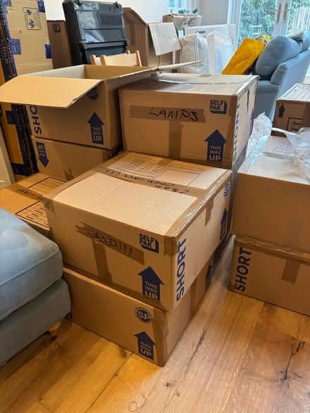 Photo of free moving boxes and bubble wrap (Clapham) #1