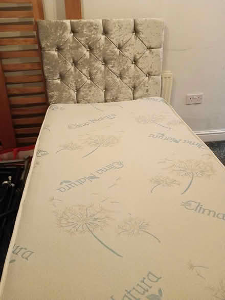 Photo of free Single bed (Wf17 6LQ) #1