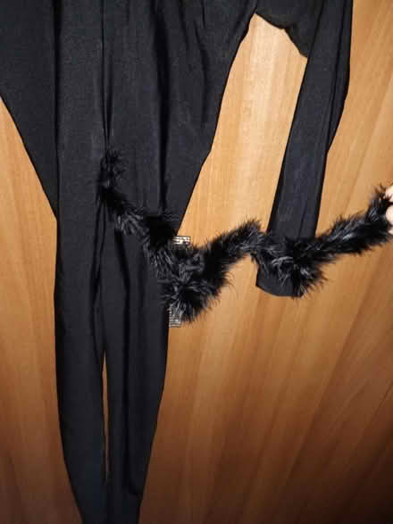 Photo of free Girl's cat dance costume (Perivale) #3