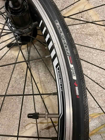 Photo of free Road bike wheels (Shottlegate DE56) #3