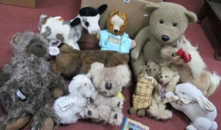 Photo of Old, damaged, unwanted soft toys (Belfast) #1