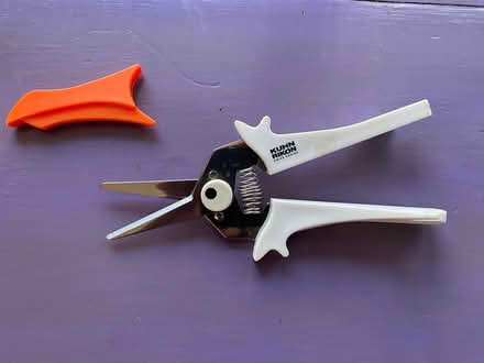 Photo of free Kuhn Rikon Scissors (Adams Morgan) #1