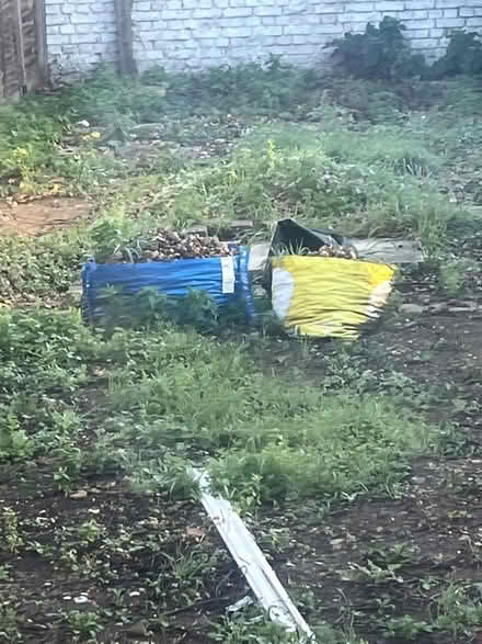 Photo of free Garden pebbles and sieve (New Cross SE14) #1