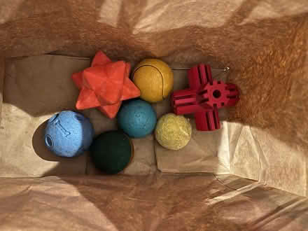 Photo of free Dog toys (Cemetery Hill MK41) #1
