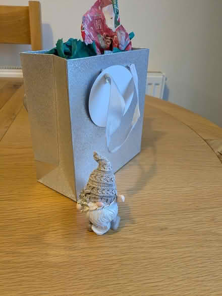 Photo of free Small plastic gonk and gift bag (Newcastle Under Lyme) #1