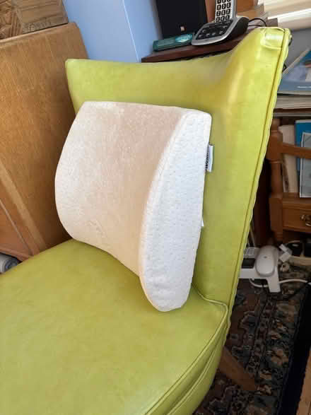 Photo of free Wellpur lumbar support cushion (Eastbourne BN20) #2